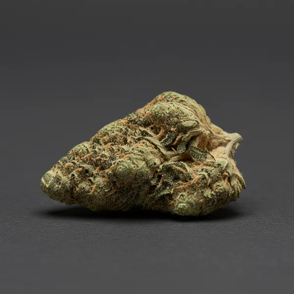 Slow Burn Auto — image 2