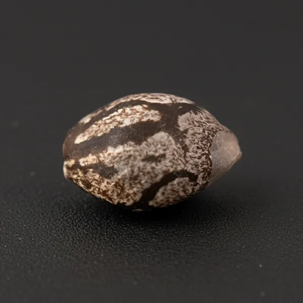 Peach Diesel Auto — image 3